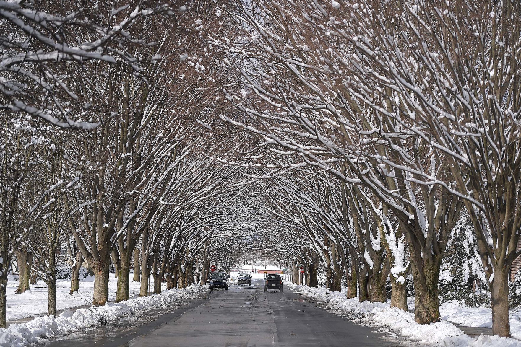 Snow.JPG